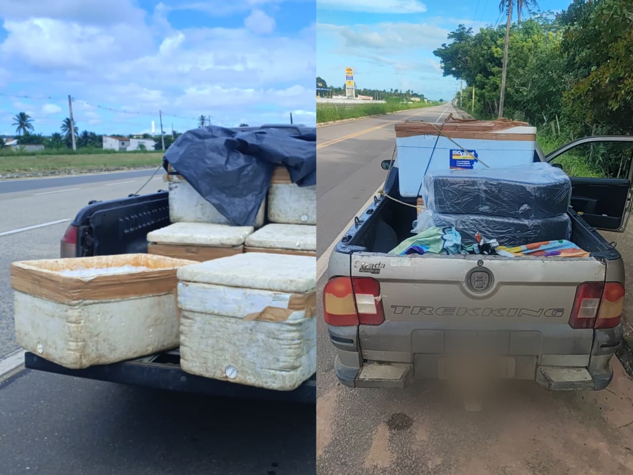 A PRF aprende 250 Kg pescado transportado de forma irregular no (RN)