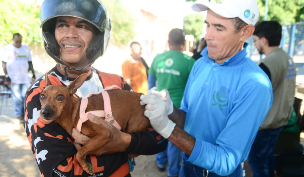 Mossoró amplia vacinação antirrábica com novos pontos para cães e gatos nesta sexta e domingo