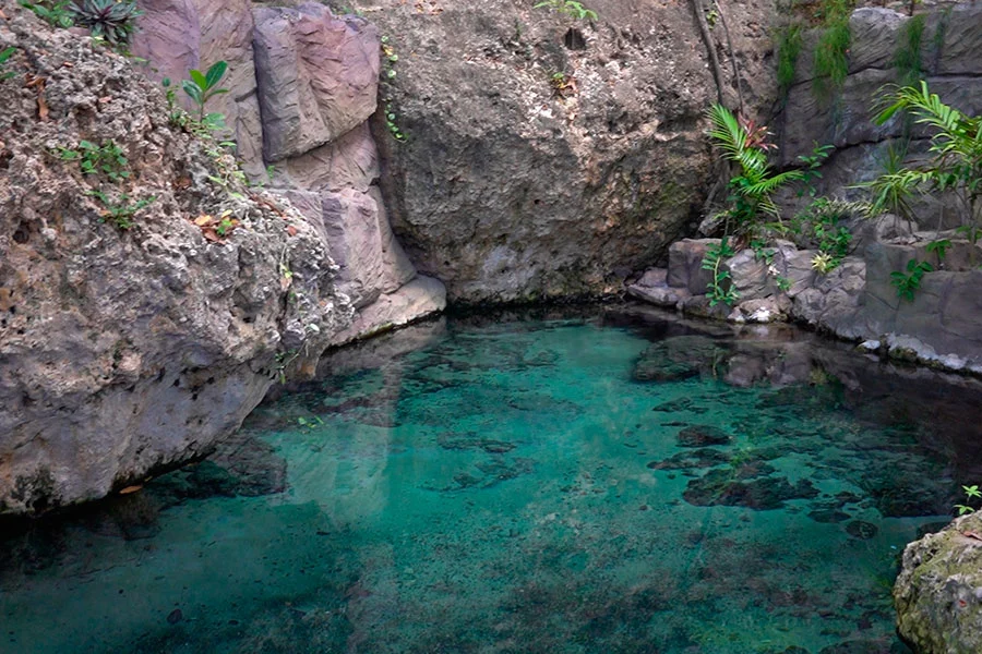 Banho no Olheiro de Pureza é liberado após interdição por aparecimento de jacaré