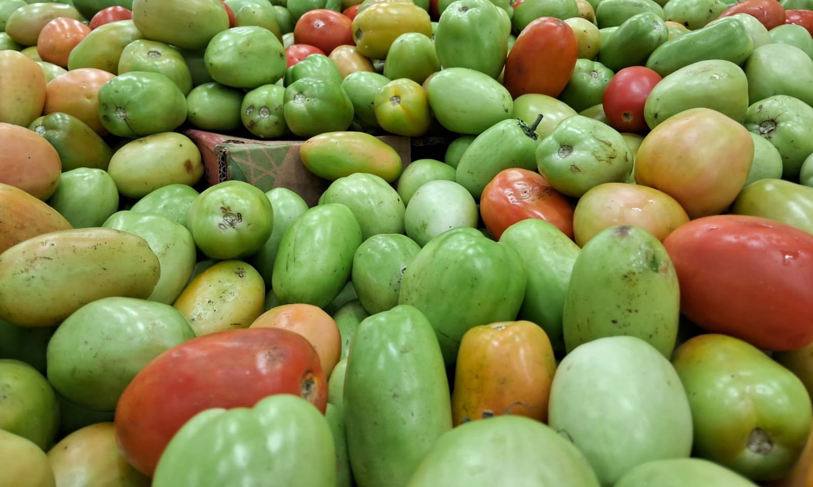 Pesquisa da UFERSA aponta aumento da cesta básica em todas as cidades monitoradas o tomate está entre os produtos que mais subiram