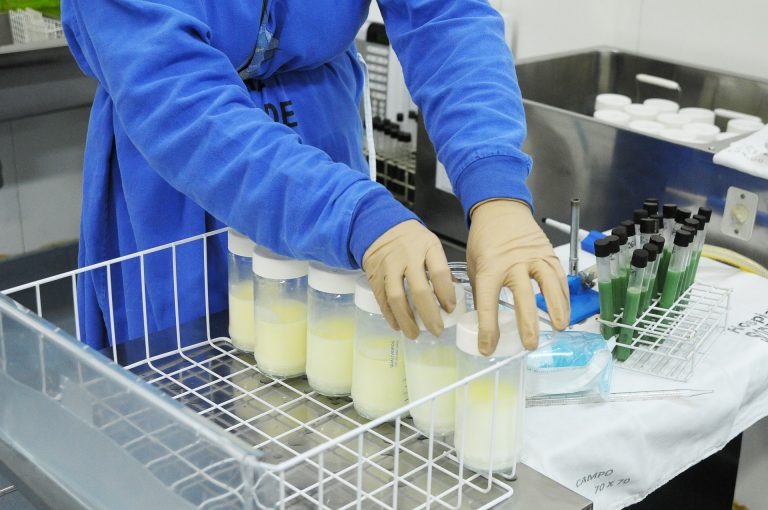 Modelo brasileiro de Banco de leite Brasileiro é o maior do mundo e une baixo custo e alta tecnologia