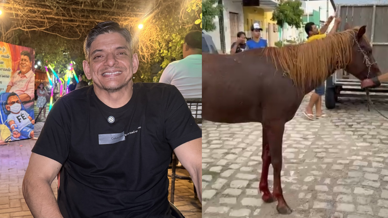 Dr. Heider Irinaldo apoia resgate de Cavalo ferido e reforça defesa a Causa Animal