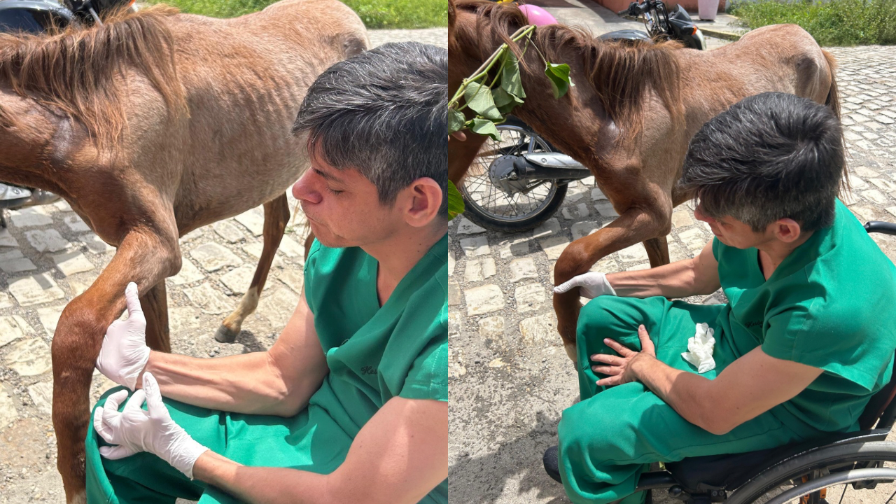 Com ajuda da população Dr. Heider Irinaldo viabiliza socorro a cavalo ferido