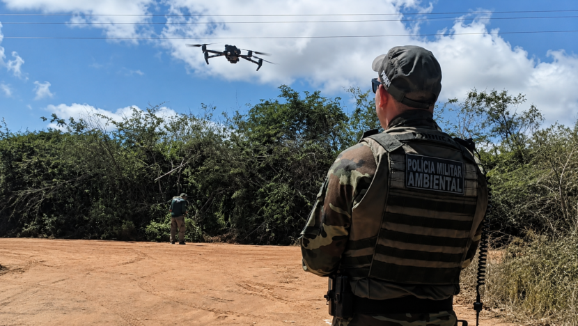 Operação apreende da Policia Ambiental e Ibama aves abatidas no Seridó Potiguar