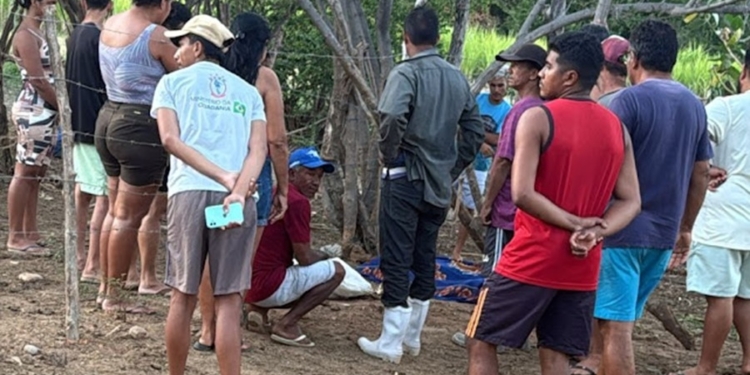 Homem morre após ser pisoteado por um Touro na comunidade de Baldum em Ipanguaçu