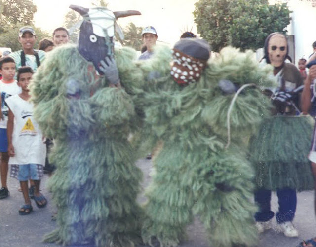 As folias de ursos: a tradição que colore o Carnaval e a história de Areia Branca