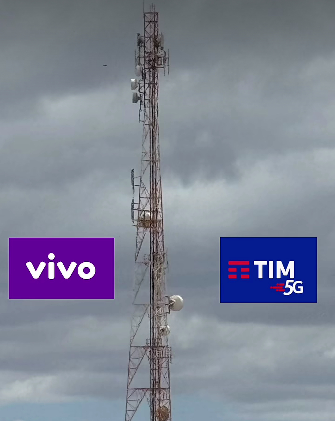 Areia Branca enfrenta apagão nas redes móveis e moradores relatam prejuízos em serviços e comunicação