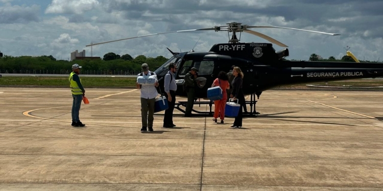 Rio Grande do Norte registra primeira doação de Órgãos em 2026