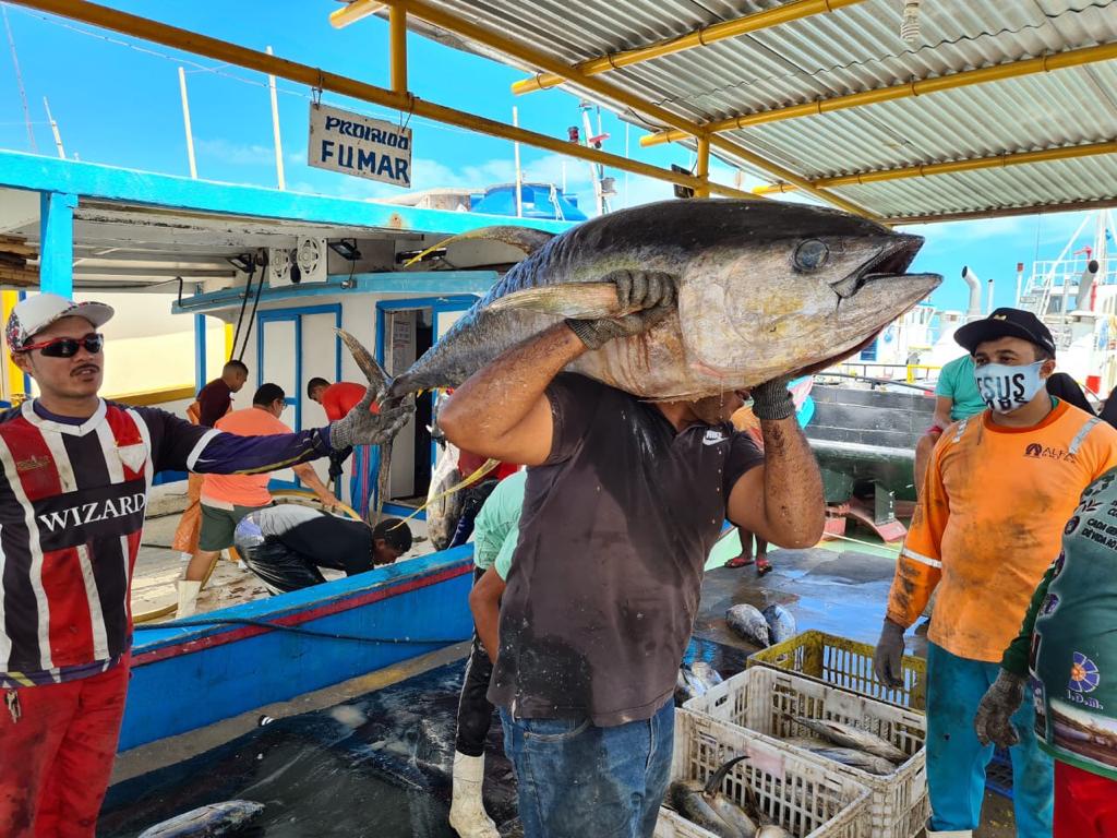 Exportação de pescado do RN despenca após tarifaço dos EUA