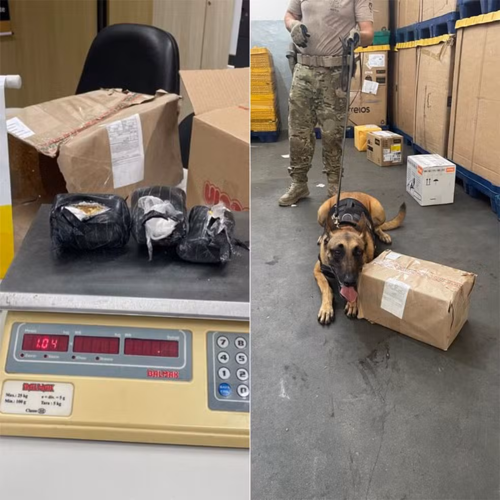 Polícia Federal apreende cocaína enviada pelos Correios para Pau dos Ferros